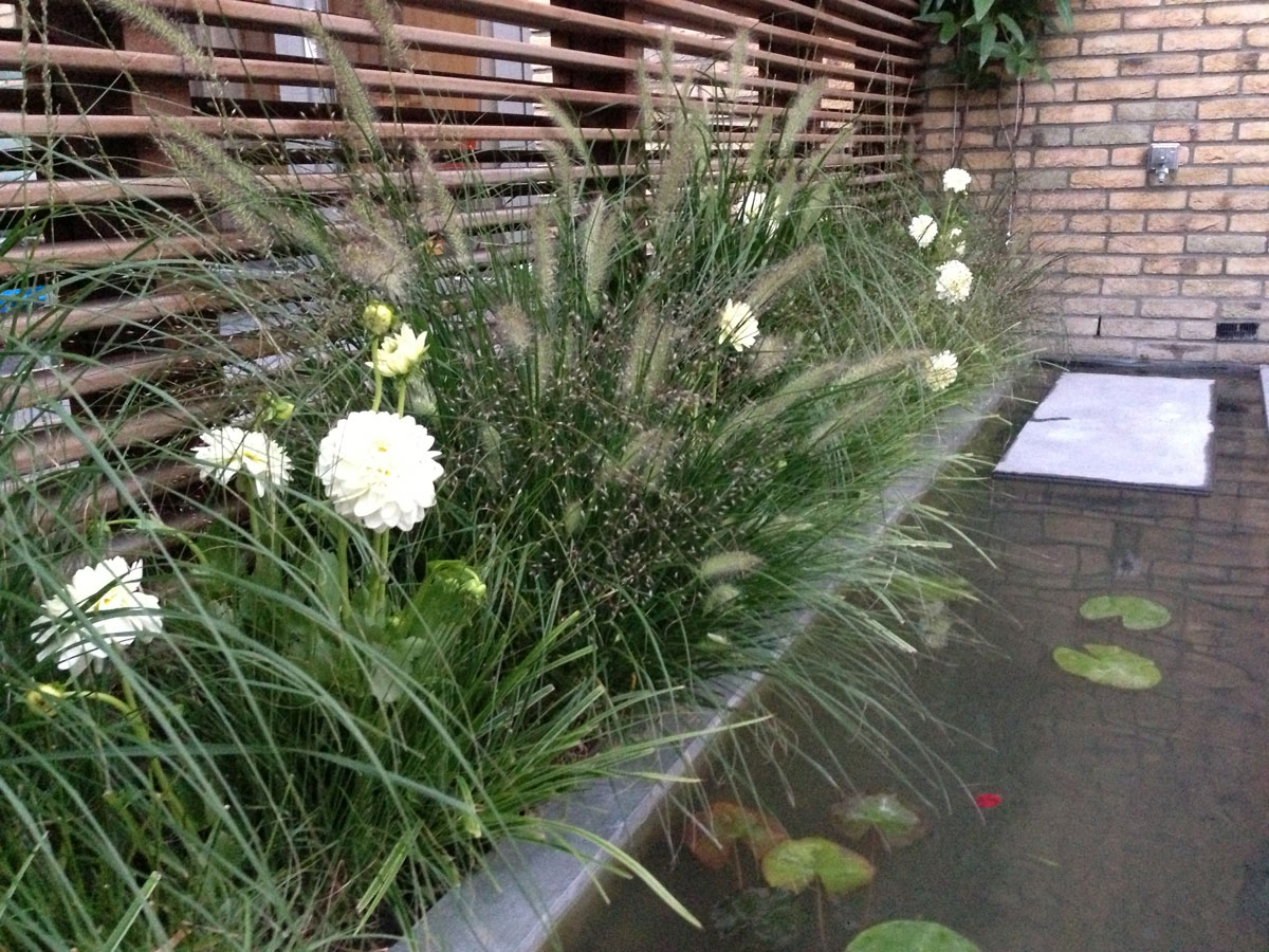 Tuinproject in Berkel en Rodenrijs