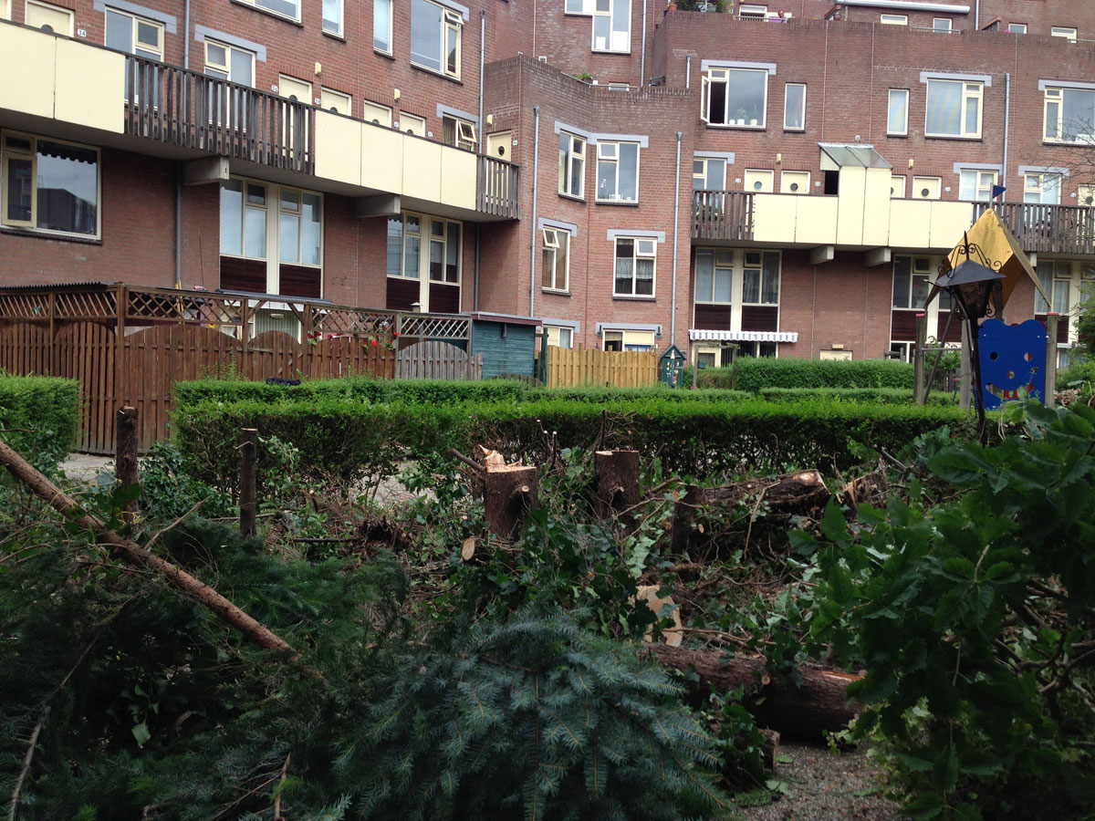 Tuinproject in Delft