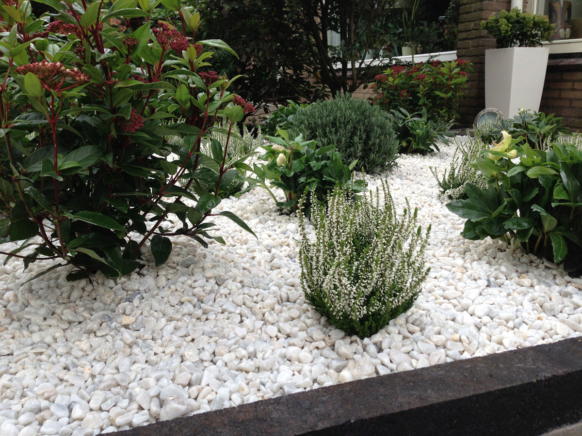 Tuinproject in Rotterdam