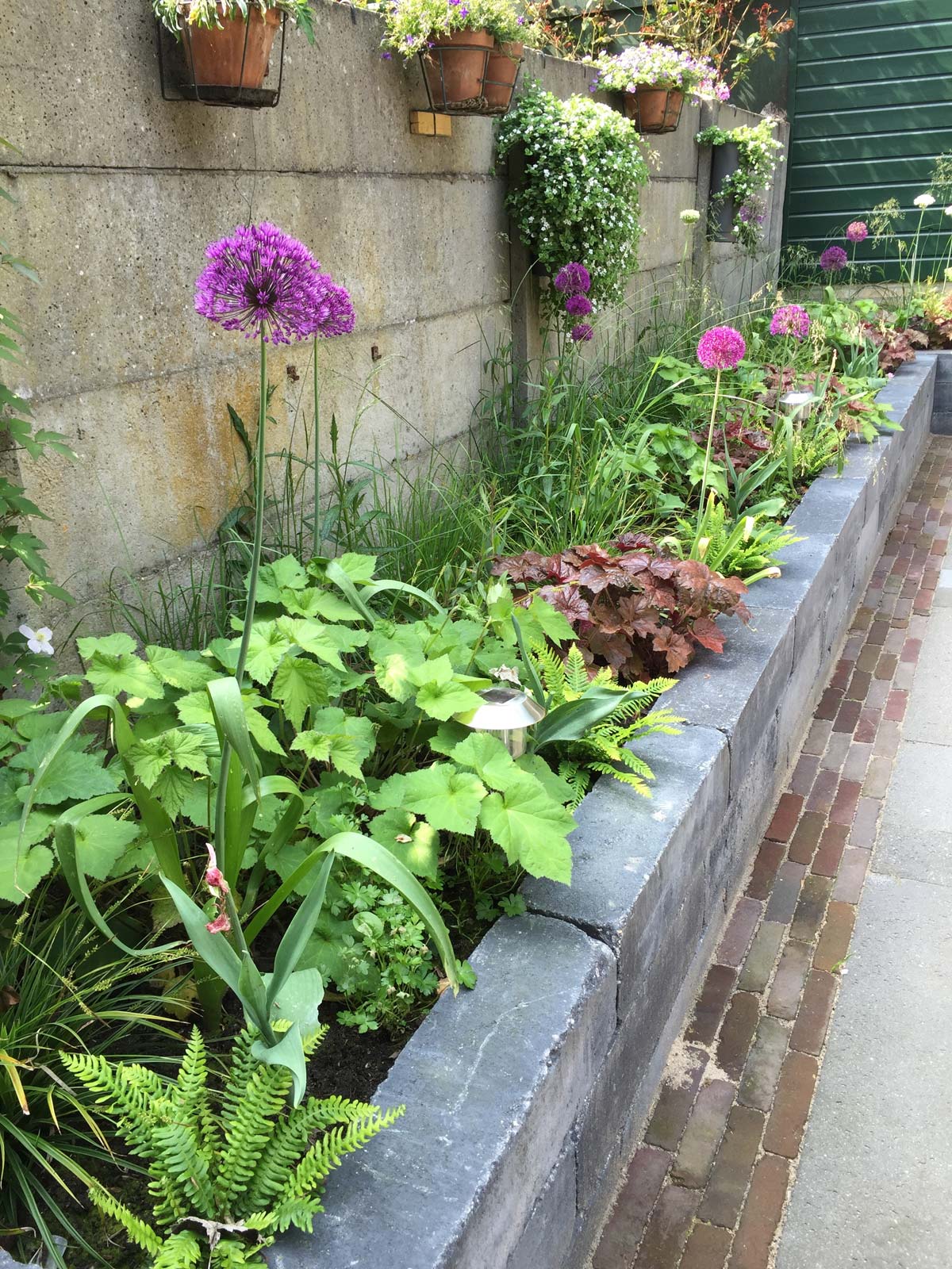 Border met vaste planten langs een muur met hangpotten