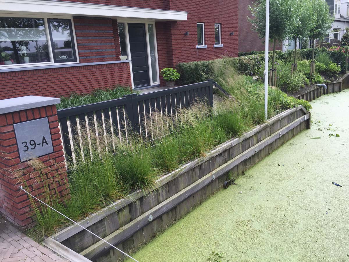 Voortuin met siergrassen langs de stoep