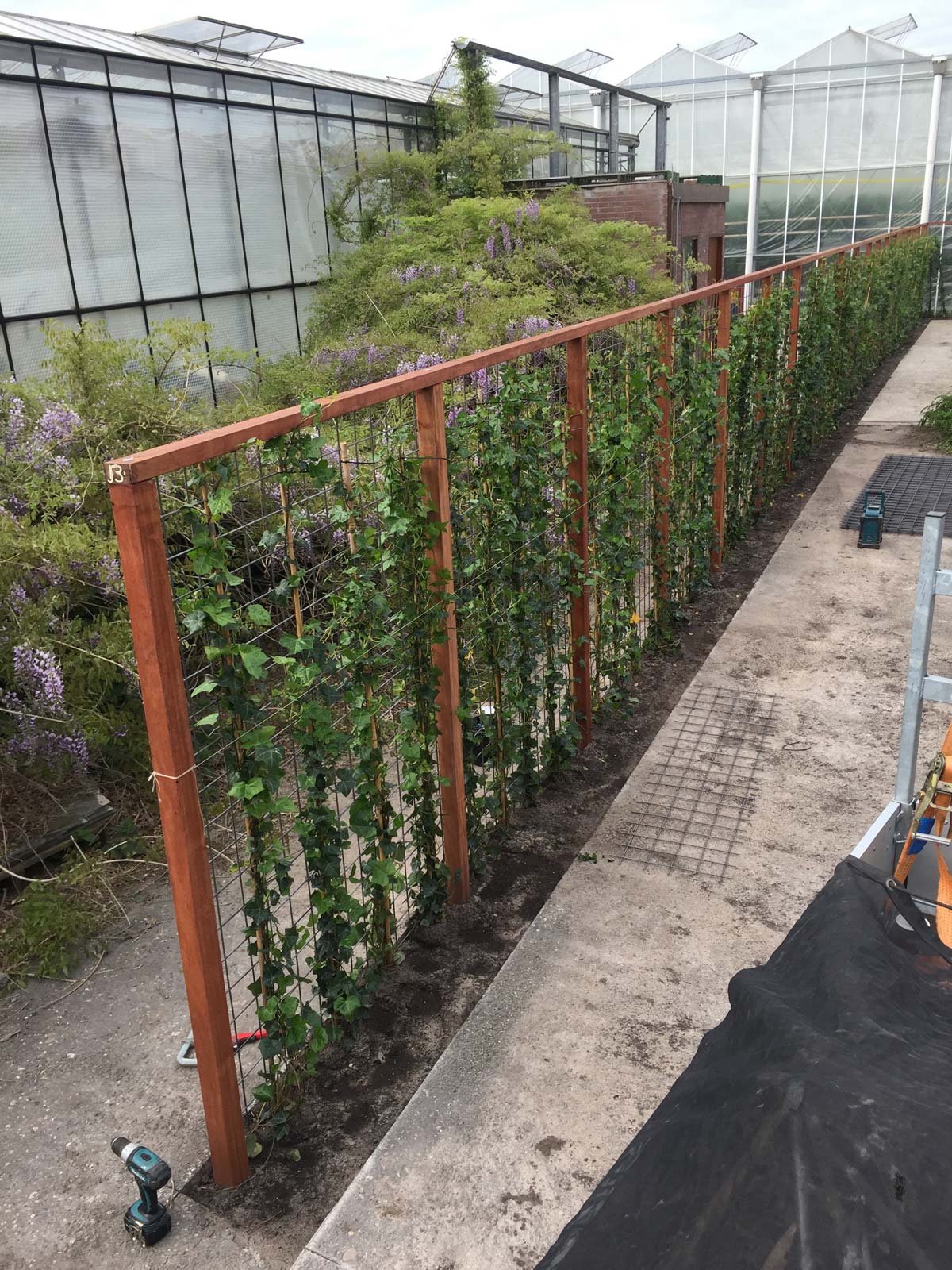 Kant-en-klaar groen scherm met klimplanten
