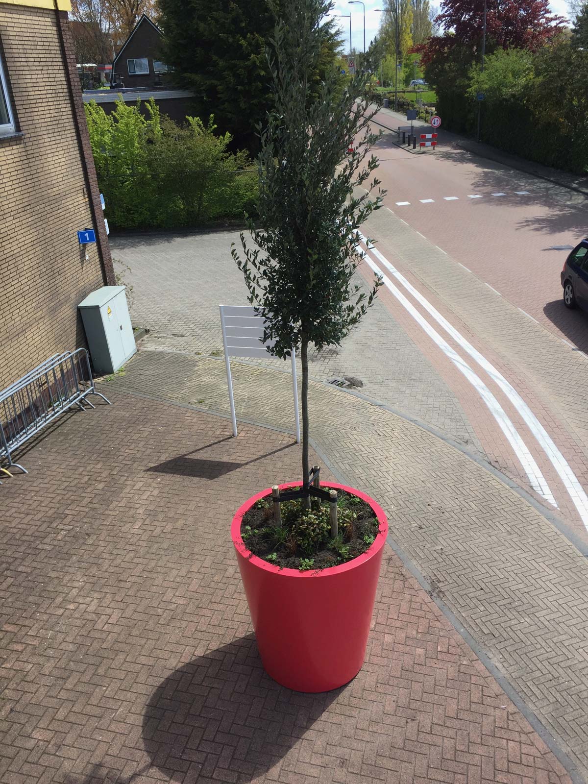 Boom in een rode pot langs de weg