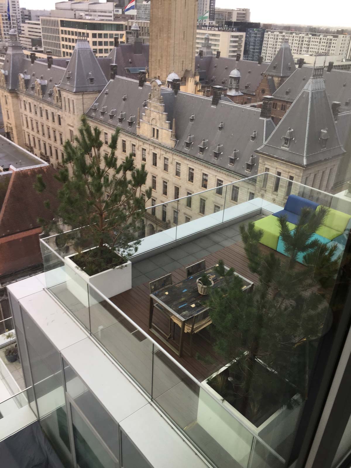 Dennen in plantenbakken op een dakterras in de stad
