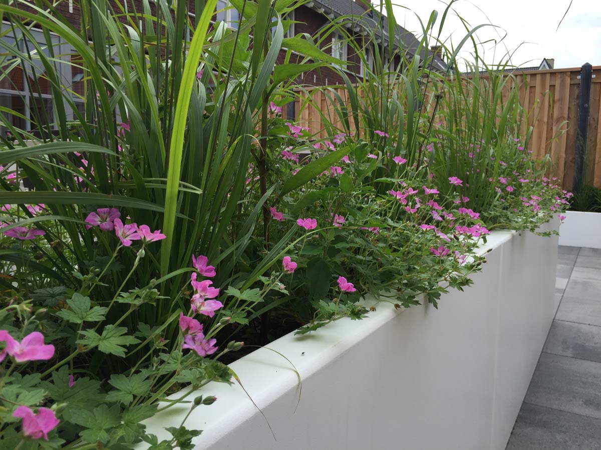 Witte plantenbak met bloeiende vaste planten
