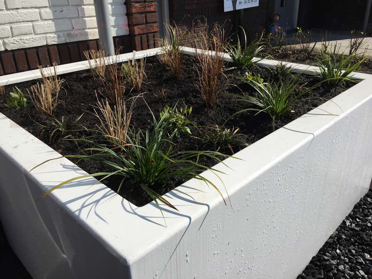 Witte betonnen plantenbak met siergrassen