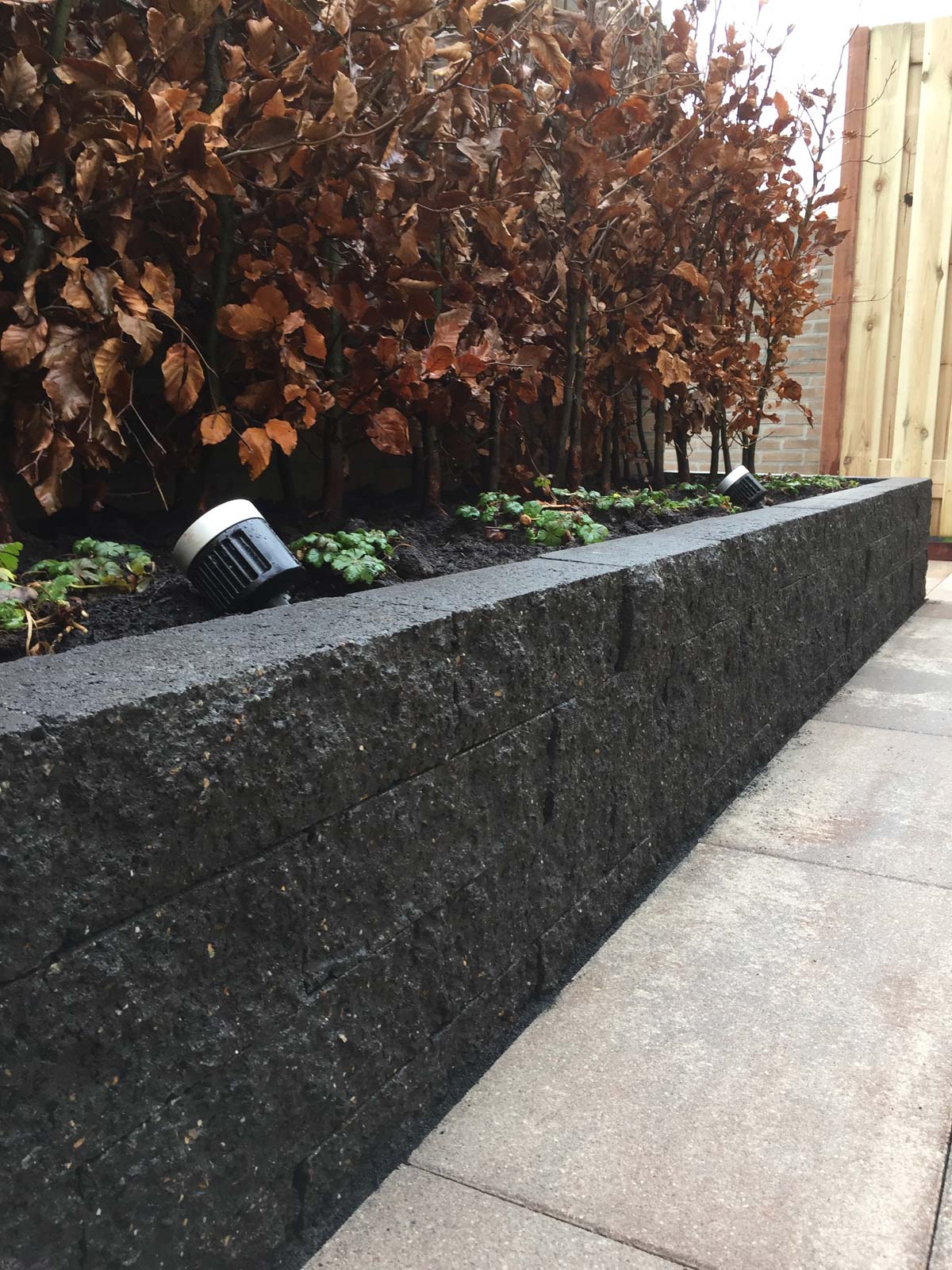 Granieten border met beukenhaag in herfstkleur